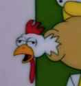 Chicken.jpg