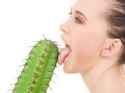 cactuslol.jpg