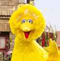 SesameStreet-150x150-e1454111665918.jpg