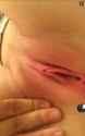 received_1202798016460661.jpg