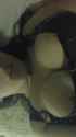 IMG-20150905-WA0063.jpg