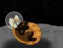 1340889463.kushiecoo_red_panda_in_space.jpg