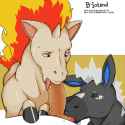 horse.png