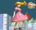 ss_ssbm_pre32[1].jpg
