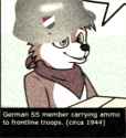 warishell.png