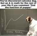 1477175131967.jpg