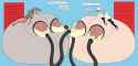 1473135854.topsecretasdlfj_dawnjudysocks.jpg