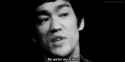 brucelessbewatermyfriend.gif