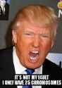 tmp_24340-donnyboy-734234693.jpg