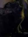 Capture+_2016-10-24-21-13-43-1.png