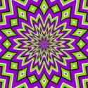 received_342588842743178.jpg