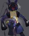 28771120_20lucario20Pokemon.jpg