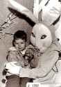 Bunny_04.jpg
