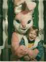 Bunny_18.jpg