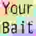your_bait.jpg