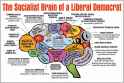 libtard-social-justice-warrior-democrat-brain.jpg
