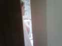 IMG00062-20081025-1209.jpg