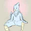 LaxBirbBoy.png
