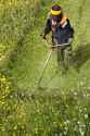 weed-whacker-the-best-tool-for-bush.jpg