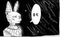 5008327-beerus_ok.jpg
