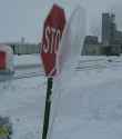 stopandfreeze_700.jpg