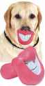 smiledog.jpg