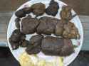 Old Burm Feces 11.22.2006.jpg