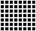hermanswhite.gif