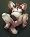 m_1463947184618_hung_red_haired_husky.jpg