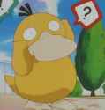 mistys psyduck.png
