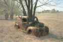treetrunk_together.jpg