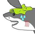 sharksweat.jpg
