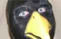 ds.png