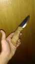 IMAG0118.jpg