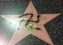 news-donald-trump-walk-of-fame-swastika.jpg