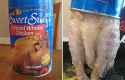 Canned_chicken_real.jpg