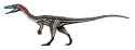 coelophysis2.jpg