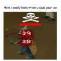 TOE.jpg