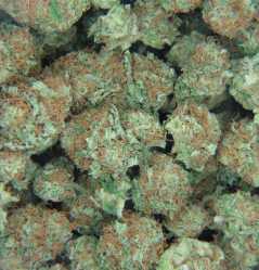 strawberry_cough.jpg