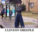 Sheep.jpg