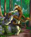 1472770578.vallhund_com-stormwolff_storm-exile-forest02.png