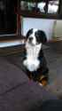 IMG-20151215-WA0004.jpg