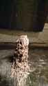 mensroomstalagmite.jpg