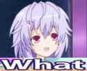 what.jpg