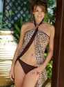 liz hurley3.jpg
