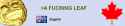1477527003333.gif