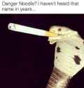 noodle.jpg