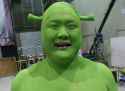 shrek.jpg