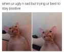 joelfag.jpg