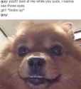 FB_IMG_1476161758288.jpg